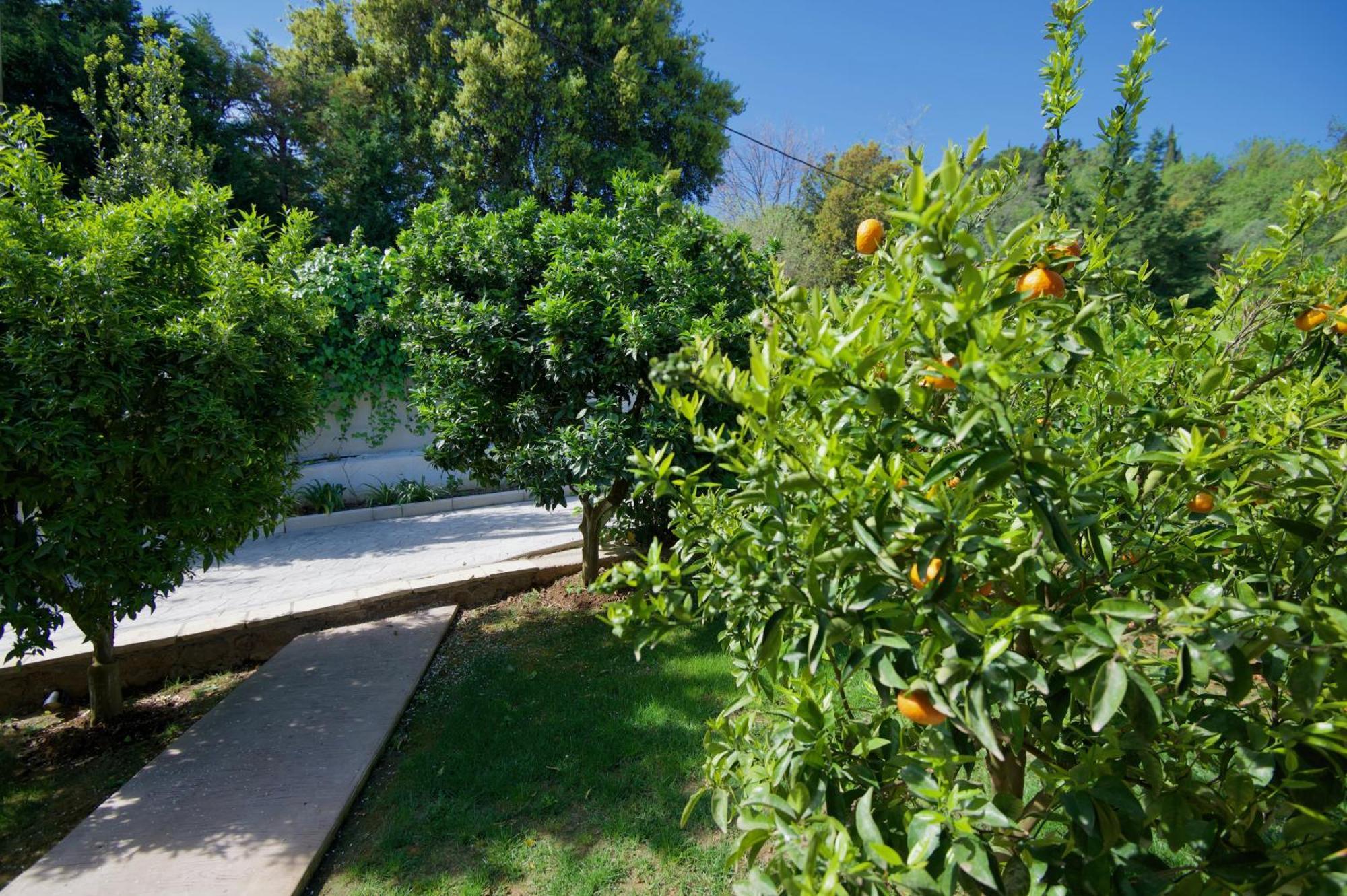 Villa Natilia Gazátika Buitenkant foto